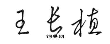 駱恆光王長植草書個性簽名怎么寫