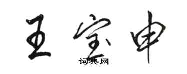 駱恆光王寶申行書個性簽名怎么寫