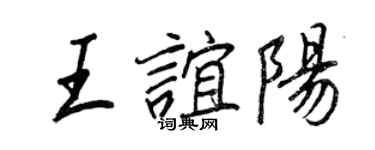 王正良王誼陽行書個性簽名怎么寫
