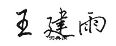 駱恆光王建雨行書個性簽名怎么寫