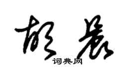 朱錫榮胡晨草書個性簽名怎么寫