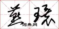 朱錫榮燕環草書怎么寫