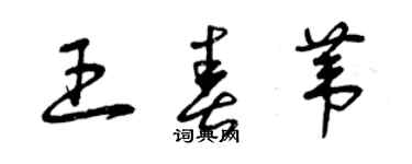 曾慶福王春葦草書個性簽名怎么寫