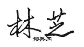 駱恆光林芝行書個性簽名怎么寫