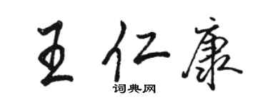 駱恆光王仁康行書個性簽名怎么寫