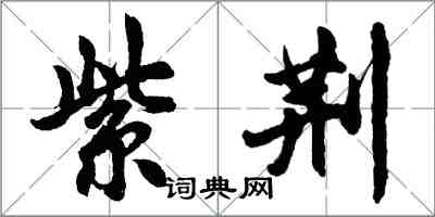 胡問遂紫荊行書怎么寫