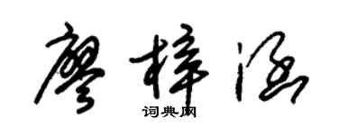 朱錫榮廖梓涵草書個性簽名怎么寫