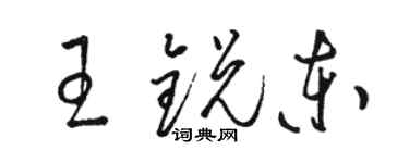 駱恆光王銳東草書個性簽名怎么寫
