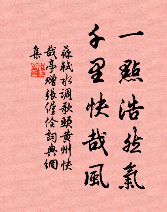 蘇軾一點浩然氣,千里快哉風。書法作品欣賞