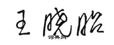 駱恆光王曉昭草書個性簽名怎么寫