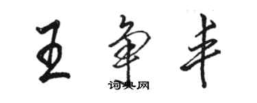 駱恆光王爭豐行書個性簽名怎么寫