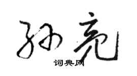 駱恆光孫亮草書個性簽名怎么寫
