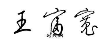 梁錦英王富寬草書個性簽名怎么寫