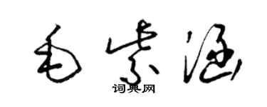 梁錦英毛紫涵草書個性簽名怎么寫