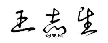 曾慶福王志望草書個性簽名怎么寫