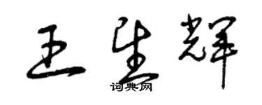 曾慶福王望輝草書個性簽名怎么寫