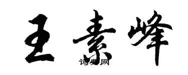 胡問遂王素峰行書個性簽名怎么寫