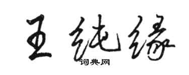 駱恆光王純緣行書個性簽名怎么寫