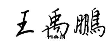 王正良王禹鵬行書個性簽名怎么寫