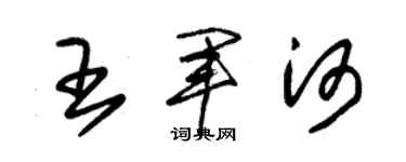 朱錫榮王軍河草書個性簽名怎么寫