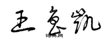 曾慶福王魯凱草書個性簽名怎么寫