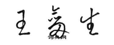 駱恆光王劍生草書個性簽名怎么寫