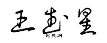 曾慶福王武星草書個性簽名怎么寫