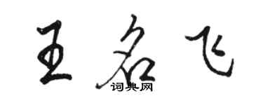 駱恆光王名飛行書個性簽名怎么寫