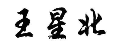 胡問遂王星北行書個性簽名怎么寫