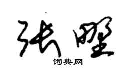 朱錫榮張野草書個性簽名怎么寫