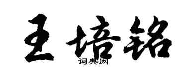 胡問遂王培銘行書個性簽名怎么寫
