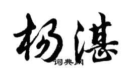 胡問遂楊湛行書個性簽名怎么寫