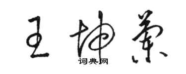 駱恆光王坤蘭草書個性簽名怎么寫