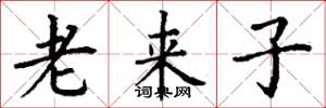 丁謙老來子楷書怎么寫