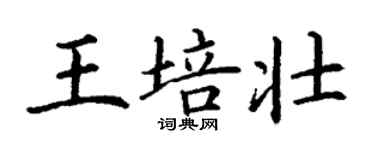 丁謙王培壯楷書個性簽名怎么寫