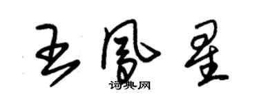 朱錫榮王鳳星草書個性簽名怎么寫