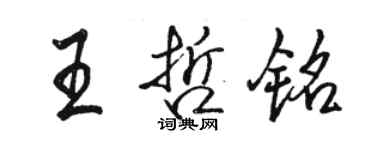 駱恆光王哲銘行書個性簽名怎么寫