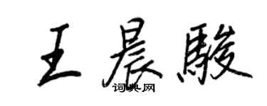 王正良王晨駿行書個性簽名怎么寫