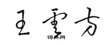 駱恆光王雲方草書個性簽名怎么寫