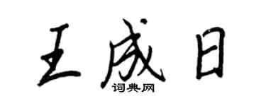 王正良王成日行書個性簽名怎么寫