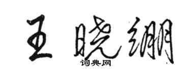 駱恆光王曉繃行書個性簽名怎么寫