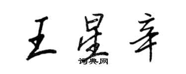 王正良王星辛行書個性簽名怎么寫