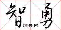 錢沛雲智勇行書怎么寫