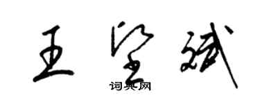 梁錦英王堅斌草書個性簽名怎么寫