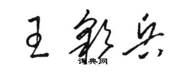 駱恆光王彩兵草書個性簽名怎么寫