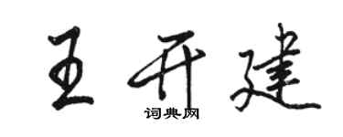 駱恆光王開建行書個性簽名怎么寫