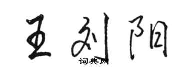 駱恆光王劉陽行書個性簽名怎么寫