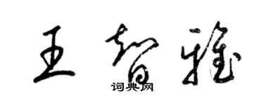 梁錦英王智雅草書個性簽名怎么寫