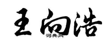 胡問遂王向浩行書個性簽名怎么寫