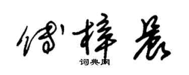 朱錫榮傅梓晨草書個性簽名怎么寫